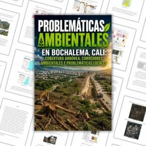 Problemáticas Ambientales en Bochalema, Cali